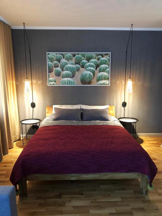 Kaktuss Apartamenti Smiltene Exterior foto